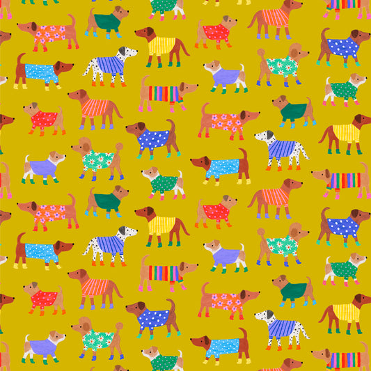 Dashwood Studio - Splash - Dogs